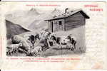 Frauenfeld Landwirtschaftsausstellung 1903 Kleinvieh
