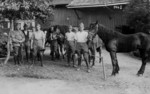 Frauenfeld Militr mit Pferden