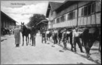 Frauenfeld Militrpferde auf der Bahnhofstrasse um 1920
